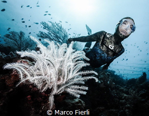 Ai and the Crinoid

Ai Futaki, Guinness World Records f... by Marco Fierli 